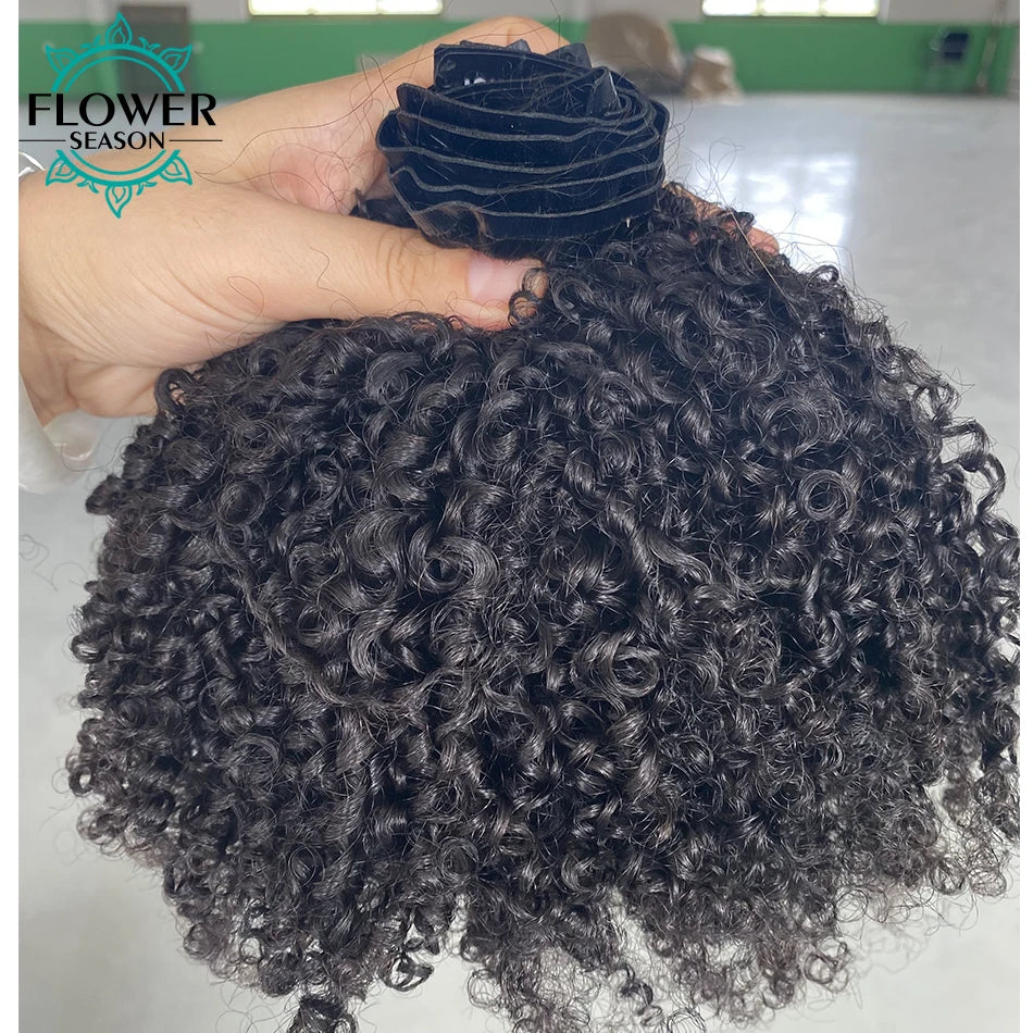 Afro Kinky Curly Clip ins Hair Extensions