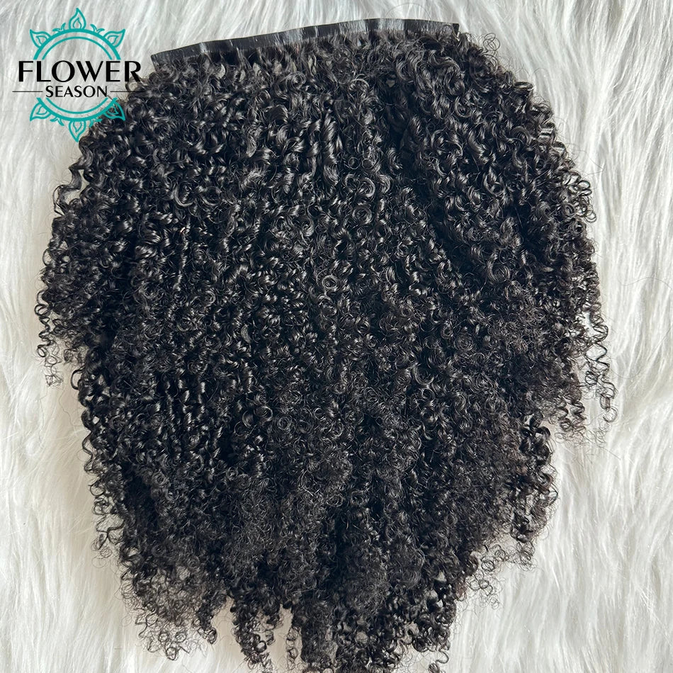 Afro Kinky Curly Clip ins Hair Extensions